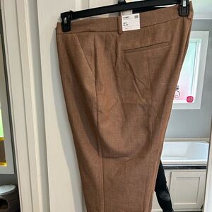 Size 18 express work pants